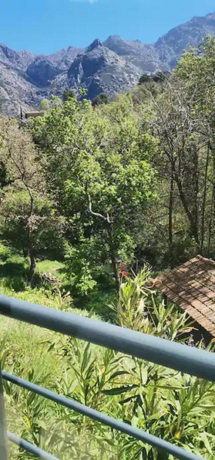 Maison Avec Jacuzzi Au Coeur Des Montagnes Feliceto Zewnętrze zdjęcie